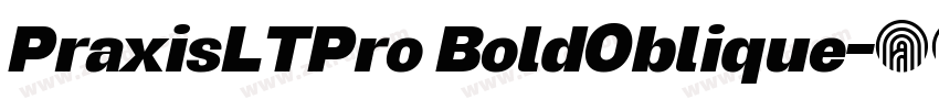 PraxisLTPro BoldOblique字体转换